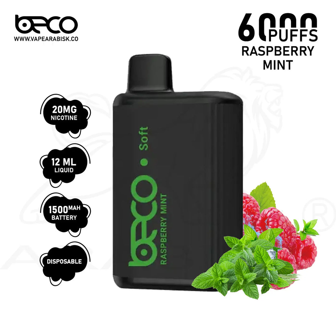 BECO SOFT 6000 PUFFS 20MG - RASPBERRY MINT 