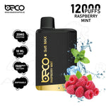 Load image into Gallery viewer, BECO SOFT MAX 12000 PUFFS 20MG - RASPBERRY MINT 
