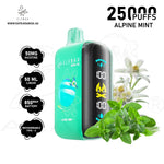 Load image into Gallery viewer, ELFBAR RAYA D3 25000 PUFFS 50MG - ALPINE MINT 
