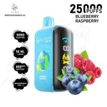 Load image into Gallery viewer, ELFBAR RAYA D3 25000 PUFFS 50MG - BLUEBERRY RASPBERRY 
