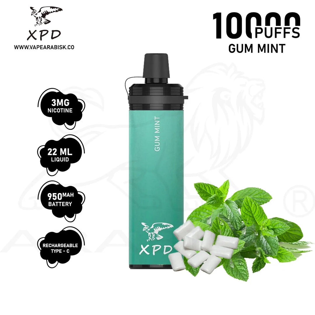 R-SHISHA XPD BAR 10000 PUFFS 3MG - GUM MINT 