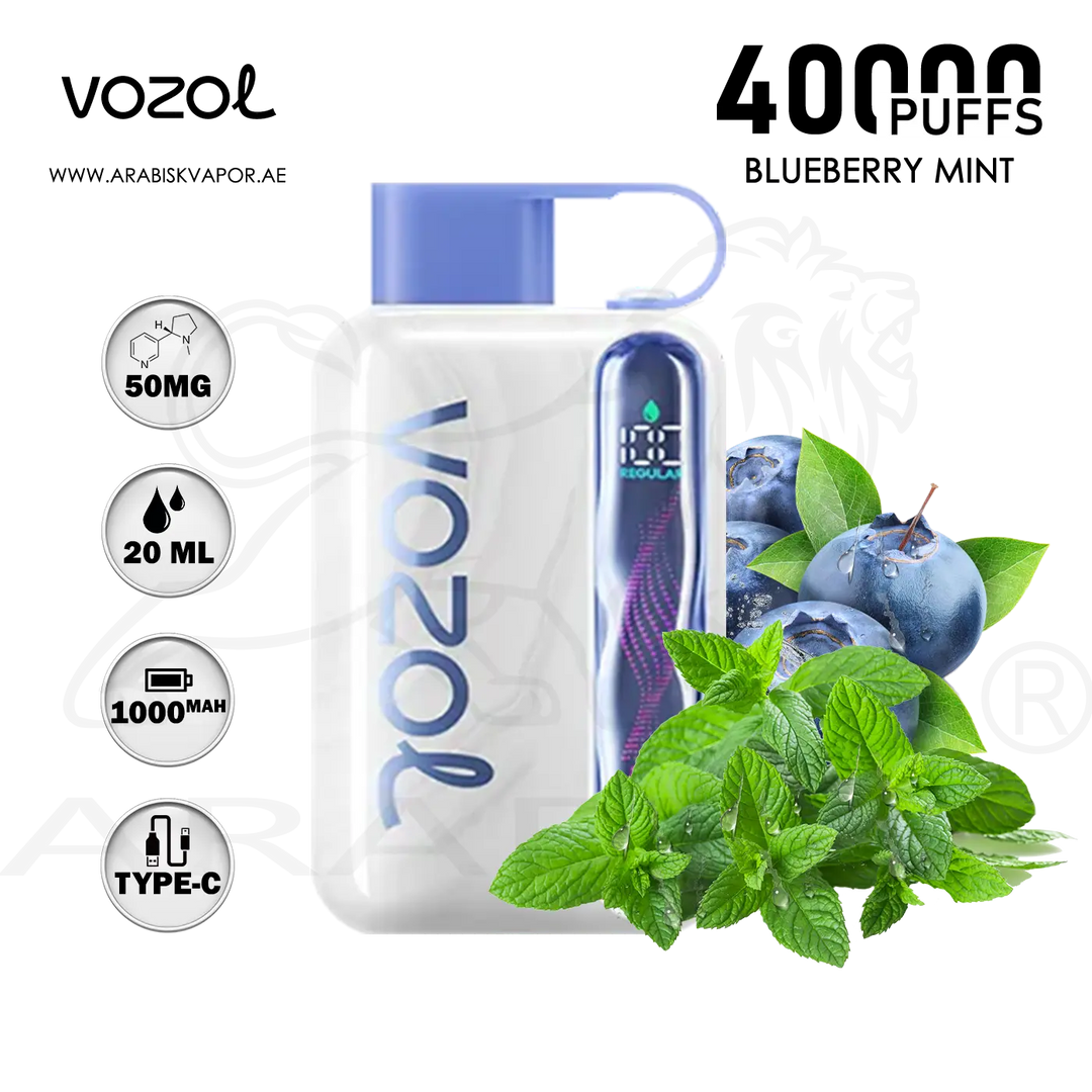 VOZOL STAR 40000 PUFFS 50MG - BLUEBERRY MINT | DISPOSABLE DEVICES Arabisk Vape VOZOL STAR 40000 PUFFS 50MG - BLUEBERRY MINT | DISPOSABLE DEVICES Arabisk Vape