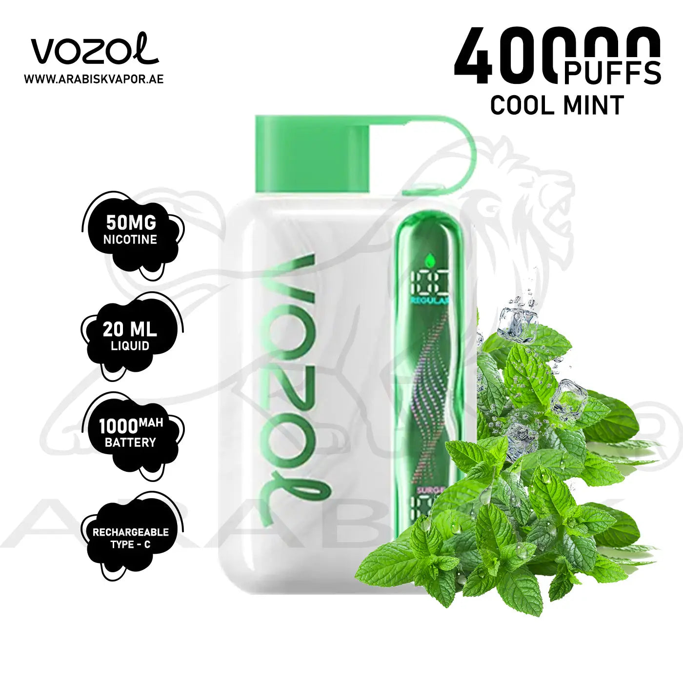 VOZOL STAR 40000 PUFFS 50MG - COOL MINT | DISPOSABLE DEVICES