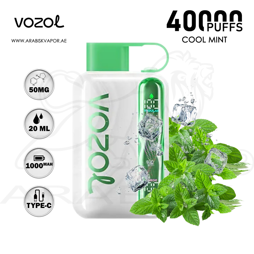 VOZOL STAR 40000 PUFFS 50MG - COOL MINT | DISPOSABLE DEVICES Arabisk Vape VOZOL STAR 40000 PUFFS 50MG - COOL MINT | DISPOSABLE DEVICES Arabisk Vape