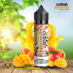 Load image into Gallery viewer, Cloud Breakers - Mango Peach 3mg 60ml Cloud Breakers
